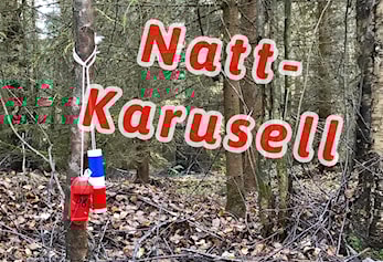 Raumarkarusell - Nattløp